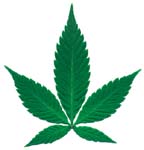 weedleaf